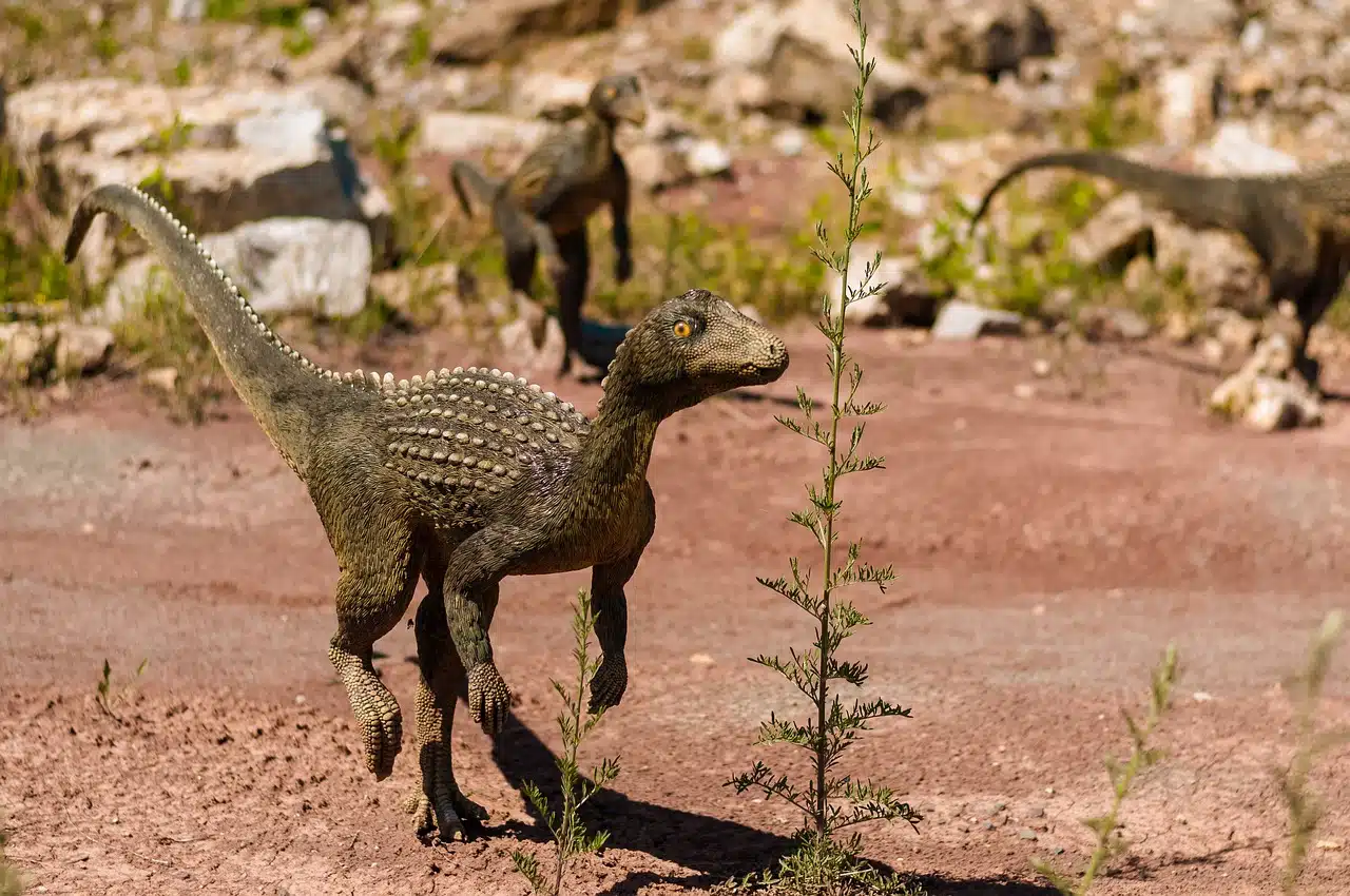 Figurines animaux : lesquels choisir ?